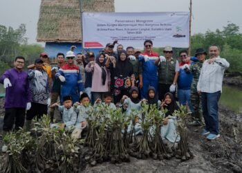 Peringati Hari Mangrove Sedunia, Pertamina EP Pangkalan Susu Tanam 2.500 Bibit Bakau
