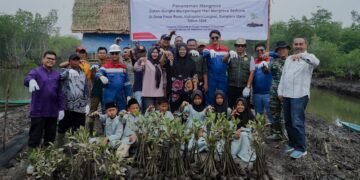 Peringati Hari Mangrove Sedunia, Pertamina EP Pangkalan Susu Tanam 2.500 Bibit Bakau