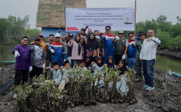Peringati Hari Mangrove Sedunia, Pertamina EP Pangkalan Susu Tanam 2.500 Bibit Bakau