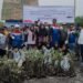 Peringati Hari Mangrove Sedunia, Pertamina EP Pangkalan Susu Tanam 2.500 Bibit Bakau