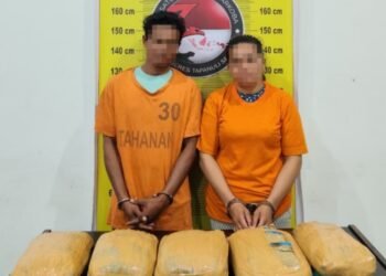 Satresnarkoba Polres Tapsel Gagalkan Peredaran Ganja 5 Kg
