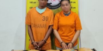 Satresnarkoba Polres Tapsel Gagalkan Peredaran Ganja 5 Kg