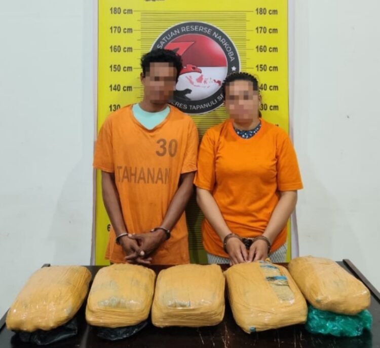Satresnarkoba Polres Tapsel Gagalkan Peredaran Ganja 5 Kg