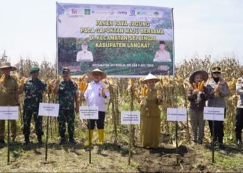 OJK Sumut Dorong Klaster Kemitraan Jagung Langkat Untuk Perluas Akses Pembayaran Petani 