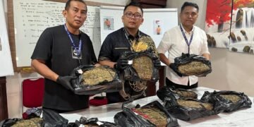 9,4 Kg Ganja Gagal Beredar di Medan