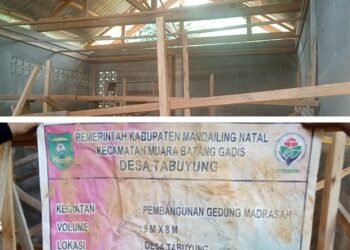 Diduga Dikorupsi, Formabes RI Akan Laporkan Pembangunan Gedung Madrasah Desa Tabuyung ke Polres Madina