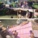 Warga Menagih Janji Pemerintah, Jembatan Sei Musan Batang Serangan Rusak Parah