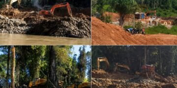 Aktivitas PETI Gunakan Alat Berat, Luluhlantakkan Hutan Muara Batanggadis