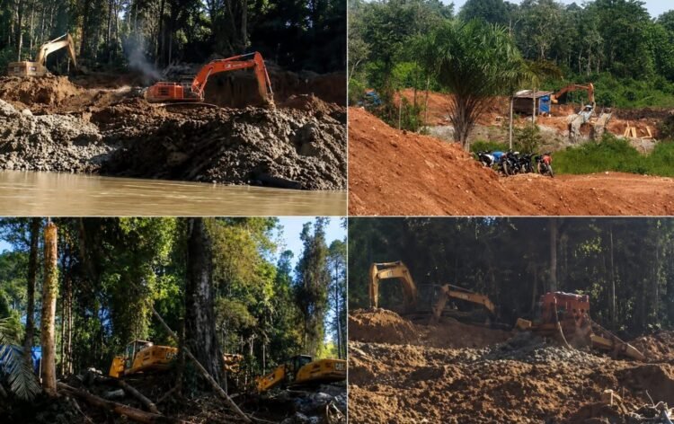 Aktivitas PETI Gunakan Alat Berat, Luluhlantakkan Hutan Muara Batanggadis
