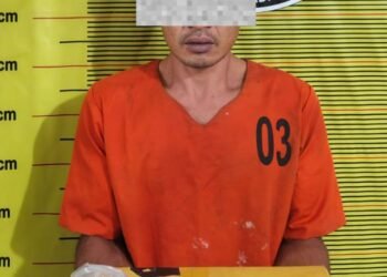 Satresnarkoba Polres Sidimpuan Amankan Tersangka dan Ganja