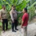 Sahuti Keluhan Warga, Kapolsek Hinai Tinjau Jembatan Rusak di Batu Melenggang