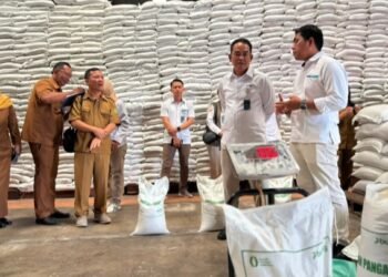 Bulog Sumut Terus Salurkan Beras dan Minyakita Melalui Berbagai Program Pemerintah