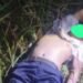 Driver Taksi Online Tewas Dibegal, Jasad Dibuang di Kebun Tebu Hamparan Perak