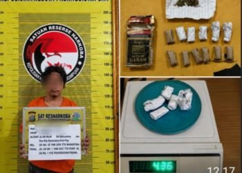 Satresnarkoba Polres Padangsidimpuan Amankan Pria dan 11 Paket Ganja