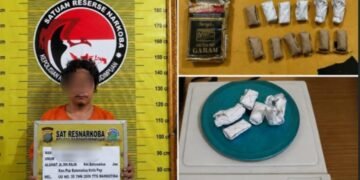 Satresnarkoba Polres Padangsidimpuan Amankan Pria dan 11 Paket Ganja
