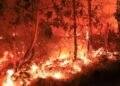 BMKG Ingatkan El Nino Ekstrem Picu Karhutla, Hujan Baru Turun Oktober