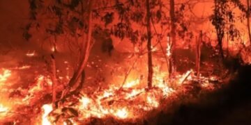 BMKG Ingatkan El Nino Ekstrem Picu Karhutla, Hujan Baru Turun Oktober