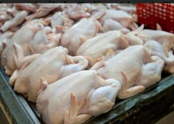 Daging Ayam Akan Sumbang Inflasi Besar Pada Bulan Agustus, Tren Kenaikannya Belum Terputus