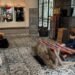 The Reiz Suites Medan Angkat Warisan Tenun Sumut Lewat Threads of Heritage