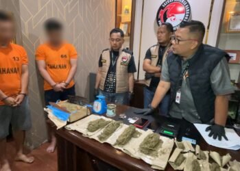 Kos Jadi Tempat Transit Ganja, Sabu, dan PG Disita Polrestabes Medan