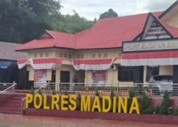 Pelaku Pelecehan Anak Diduga Dibebaskan Polres Madina