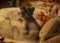 Resident Evil Pecahkan Rekor, Intip Sinopsisnya!