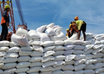 Bulog Sumut Terima 4.434 Ton Beras dari Jatim Perkuat Cadangan Pangan