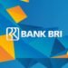 Tak Terima PHK, Pegawai BRI Iskandar Muda Somasi Manajemen