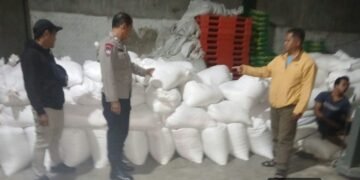 Polres Karo Distribusikan 9,8 Ton Jagung ke Gudang Bulog Tigapanah