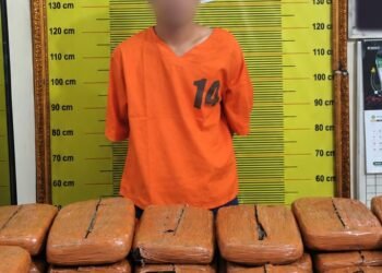 Polres Padangsidimpuan Amankan 1 Tersangka dan 20 Kg Ganja