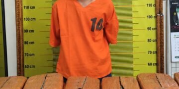 Polres Padangsidimpuan Amankan 1 Tersangka dan 20 Kg Ganja