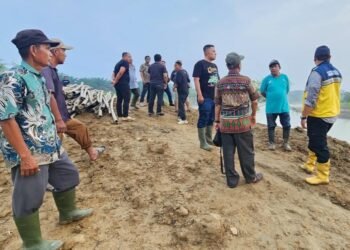 Plt Bupati Langkat Tiorita Dorong Perbaikan Tanggul Paya Bunder