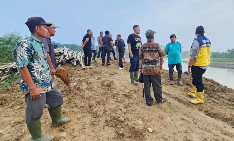 Plt Bupati Langkat Tiorita Dorong Perbaikan Tanggul Paya Bunder