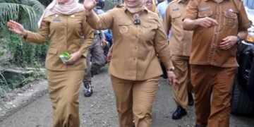 Tinjau Perbaikan Jalan Secanggang, Tiorita Dorong Kelancaran Ekonomi Warga