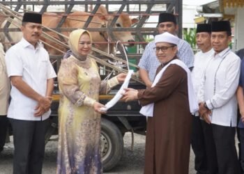 Plt. Bupati Langkat Tiorita Serahkan Bantuan Haul ke-103 Syekh Abdul Wahab Rokan