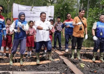 Gerilya Sang Pejuang Alam, Menjaga Mangrove dan Operasional Pertamina EP Pangkalan Susu