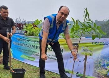 Perumda Tirtanadi Tanam 1.000 Pohon di Sibolangit: Ardian Surbakti Soroti Aksi Penebangan Hutan