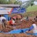 Raja Edward Sebayang Serap Aspirasi Petani Uruk Biru Pametar, Dorong Pembangunan Jalan Usaha Tani